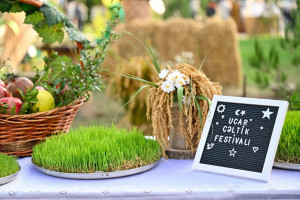 Ucarda “Aqrar Biznes” və “I Çəltik” festivalı keçirilib
