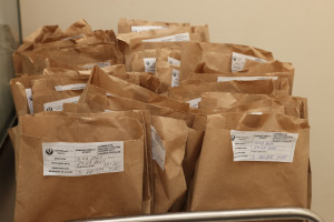 AXA-nın Mərkəzi Laboratoriyasında “Açıq qapı” günü keçirilib
