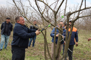 Fermerlərə “İntensiv meyvə bağlarının salınması və idarə olunması texnologiyaları” mövzusunda təlim keçirilib