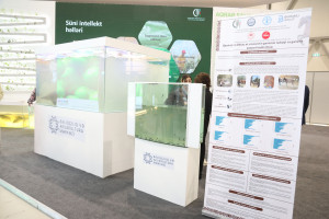 Prezident köməkçiləri Şahmar Mövsümov və Xalid Əhədov “Caspian Agro 2026” və “InterFood Azerbaijan” sərgiləri ilə tanış olublar