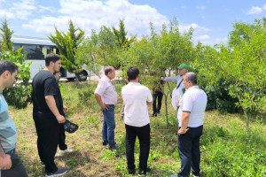 Aqrar sığorta eksperti olmaq istəyənlər üçün növbəti təlimlər keçirilib