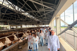 Aqrar Xidmətlər Agentliyinin əməkdaşları Xocalıda damazlıq heyvandarlıq kompleksi ilə tanış olublar
