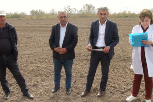 Yeni pambıq sortlarının dörd rayonda sınaq əkininə başlanılıb