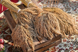 Ucarda “Aqrar Biznes” və “I Çəltik” festivalı keçirilib