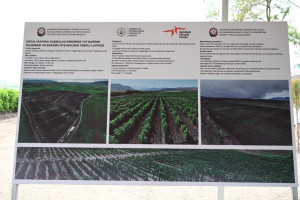 Xocalının Daşbulaq kəndində baramaçılığın inkişafı üçün yaradılmış infrastruktura baxış keçirilib