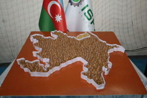 Qusar rayonunda Aqrar Biznes Festivalı və toxum sərgi-satış yarmarkası keçirilib