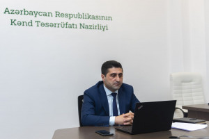 Azərbaycan Dövlət Aqrar Universitetində onlayn məzun yarmarkası keçirilib