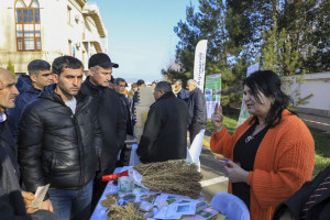 İnnovasiya festivalının növbəti təqdimatı keçirilib