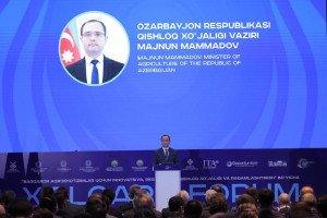 Azərbaycan nümayəndə heyəti Daşkənddə İtaliya-Mərkəzi Asiya-Azərbaycan aqrobiznes forumunda iştirak edib