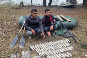Mingəçevir su anbarı və Kür çayında qanunsuz balıq ovu faktları aşkarlanıb