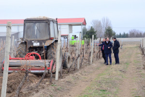Aqrar Xidmətlər Agentliyinin sədri Sərdar Hacıyev Tovuzda vətəndaşları qəbul edib, təsərrüfatlara baş çəkib