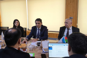 Özbəkistan aqrar sığorta modelinin qurulmasında Türkiyə və Azərbaycan təcrübəsindən istifadə edəcək