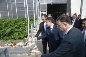 Field trips to innovative farms organized within the framework of the “Caspian Agro Week” exhibition