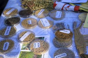 İnnovasiya festivalının növbəti təqdimatı keçirilib