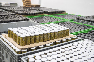 Field trips to innovative farms organized within the framework of the “Caspian Agro Week” exhibition