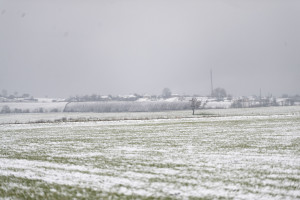 “İvanovka Aqropark”a qeydiyyat şəhadətnaməsi təqdim edilib