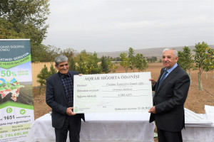 Aqrar Sığorta Fondu fermerlərə sığorta ödənişlərini davam etdirir