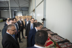 Field trips to innovative farms organized within the framework of the “Caspian Agro Week” exhibition