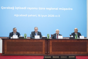 Ağcabədidə aqrar sahədə yeni Dövlət Proqramının müzakirəsi ilə bağlı regional müşavirə keçirilib