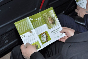 Tovuzda qəhvəyi mərmər bağacığına qarşı mübarizə işinə həsr olunmuş tədbir keçirilib