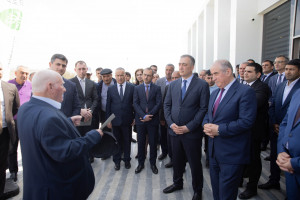 Qobustan rayonunda növbəti Aqrar innovasiya festivalı keçirilib
