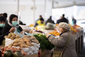 Bakı və Abşeronda “Kənddən Şəhərə” Yeni il yarmarkaları keçirilir