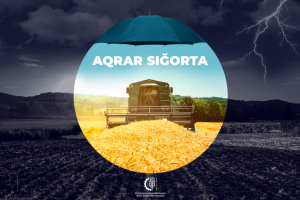 Aqrar sığorta ölkənin 60 rayonunu əhatə edib