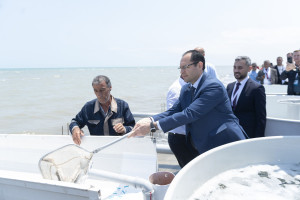 Beynəlxalq Bioloji Müxtəliflik Günü münasibətilə Neftçalada Xəzər dənizinə nərə cinsli balıq körpələri buraxılıb