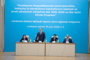 Lənkəranda aqrar sahədə yeni Dövlət Proqramının müzakirəsi ilə bağlı regional müşavirə keçirilib