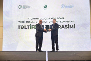 Toxumçuluqda yeni dövr: yerli toxum, etibarlı təminat mövzusunda konfrans keçirilib