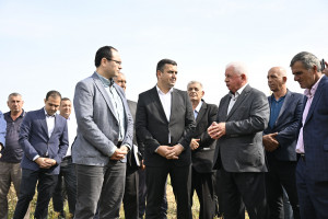 Nazir Məcnun Məmmədov Saatlıda pambıq yığımı prosesində iştirak edib, fermerlərlə görüşüb
