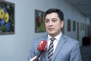 “Azərbaycan Tingçilər Assosiasiyası” İctimai Birliyi təsis olunub