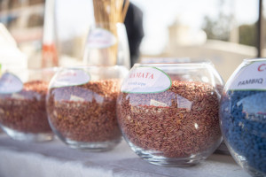 Yevlaxda Aqrar Biznes Festivalı və kredit yarmarkası keçirilib