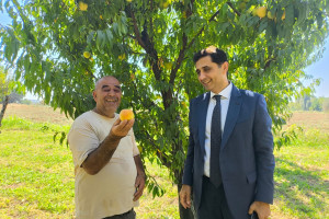 Aqrar Sığorta Fondunun sədri Fuad Sadıqov Şərurda vətəndaşlarla görüşüb, təsərrüfatlara baş çəkib