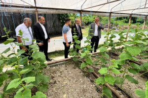 Kənd təsərrüfatı nazirinin müavini Elçin Zeynalov Göyçayda vətəndaşlarla görüşüb, təsərrüfatlara baş çəkib