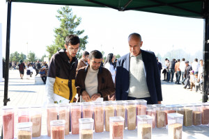 Ağdaşda kənd təsərrüfatının və aqroturizmin inkişafına həsr olunan “Heyva” və “Aqrar Biznes” festivalları keçirilib