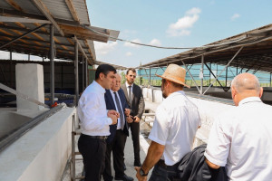 AXA sədri Sərdar Hacıyev Astara rayonunda vətəndaşlarla görüşüb, təsərrüfatlara baş çəkib