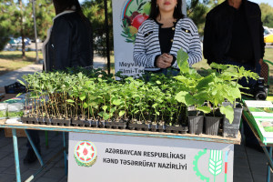 Ağdaşda kənd təsərrüfatının və aqroturizmin inkişafına həsr olunan “Heyva” və “Aqrar Biznes” festivalları keçirilib