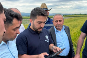 Bölgələrdə toxumluq taxıl sahələrində aprobasiyanın aparılmasına dair təlimlər keçirilir