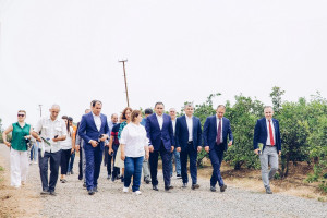 “Şəhərdən Kəndə” layihəsi çərçivəsində dəstək göstərilmiş təsərrüfatların təqdimatı baş tutub