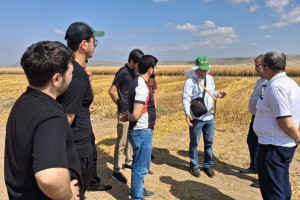 Aqrar sığorta eksperti olmaq istəyənlər üçün növbəti təlimlər keçirilib