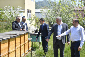 Kənd təsərrüfatı nazirinin müavini Elçin Zeynalov Lerikdə vətəndaşları qəbul edib, təsərrüfatlara baş çəkib