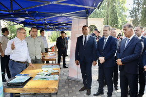 Samux rayonunda ilin ilk məhsul festivalı keçirilib