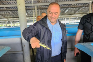 Kənd Təsərrüfatı Nazirliyinin Aparat rəhbəri Azad Cəfərli Tərtərdə vətəndaşlarla görüşüb, təsərrüfatlara baş çəkib
