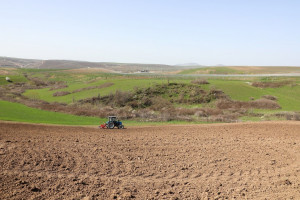 Aqrar sahədə məhsuldarlığın artımı üçün kompleks aqrotexniki xidmətlər tətbiq edilir