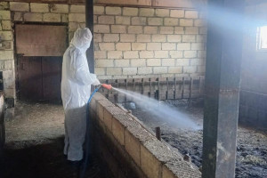 Dövlət Proqramının prioritet istiqamətləri üzrə baytarlıq xidmətlərinin gücləndirilməsi davam etdirilir