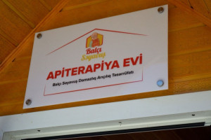 “Şəhərdən Kəndə” layihəsi çərçivəsində Lənkəranda Arıçılıq Muzeyinin açılışı olub