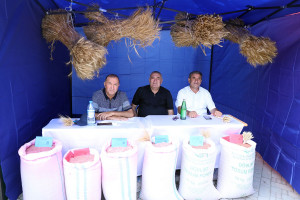 Bu gündən respublika toxum sərgi-satış yarmarkasına start verilib