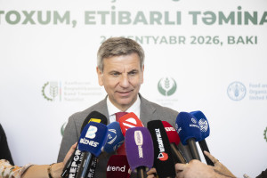 Toxumçuluqda yeni dövr: yerli toxum, etibarlı təminat mövzusunda konfrans keçirilib