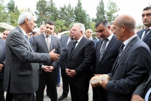 Azərbaycanda ilk dəfə “Respublika toxum sərgi-satış” yarmarkası keçirilib